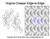 Virginia Creeper Edge-to-Edge designs