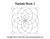 Radiate Block 2