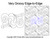 Very Groovy Edge-to-Edge, open, easy, quick, groovy, flowing, curls, swirls