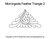 Morningside Feather Triangle 2 digitized design