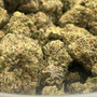 Black Cherry Gelato (LAST 1/8)