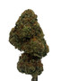 Pinnacle