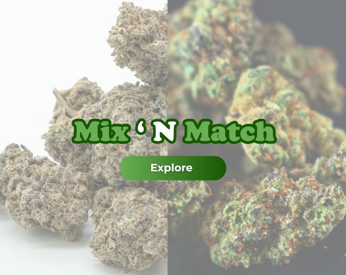 Mix 'N Match