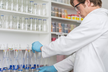 Zyagen Cat Genomic DNA