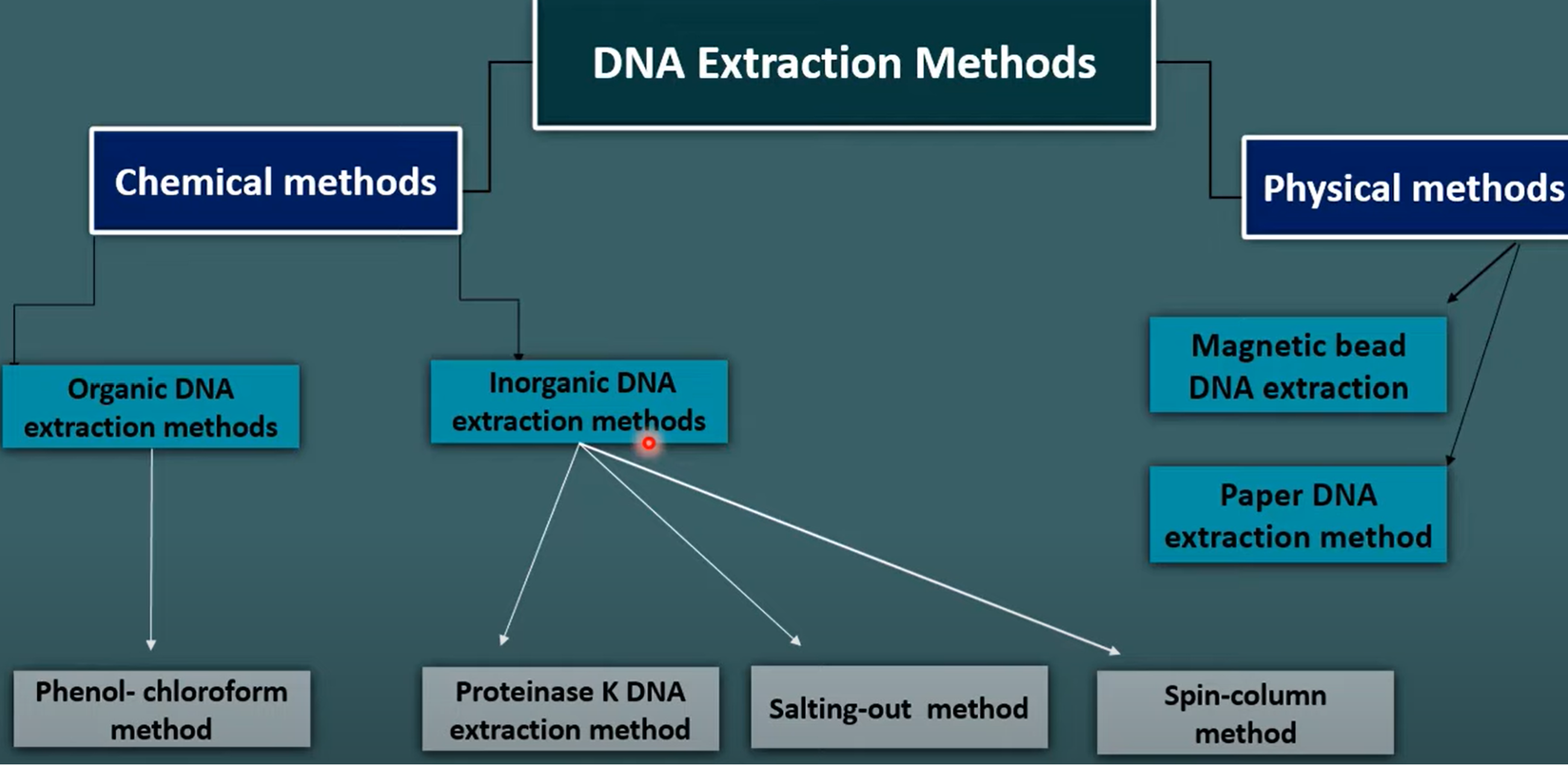 gdna-extraction.png