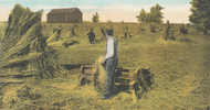 Hemp's History in the United States Hemp's History in the United States