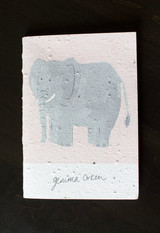 Notebook | Elephants