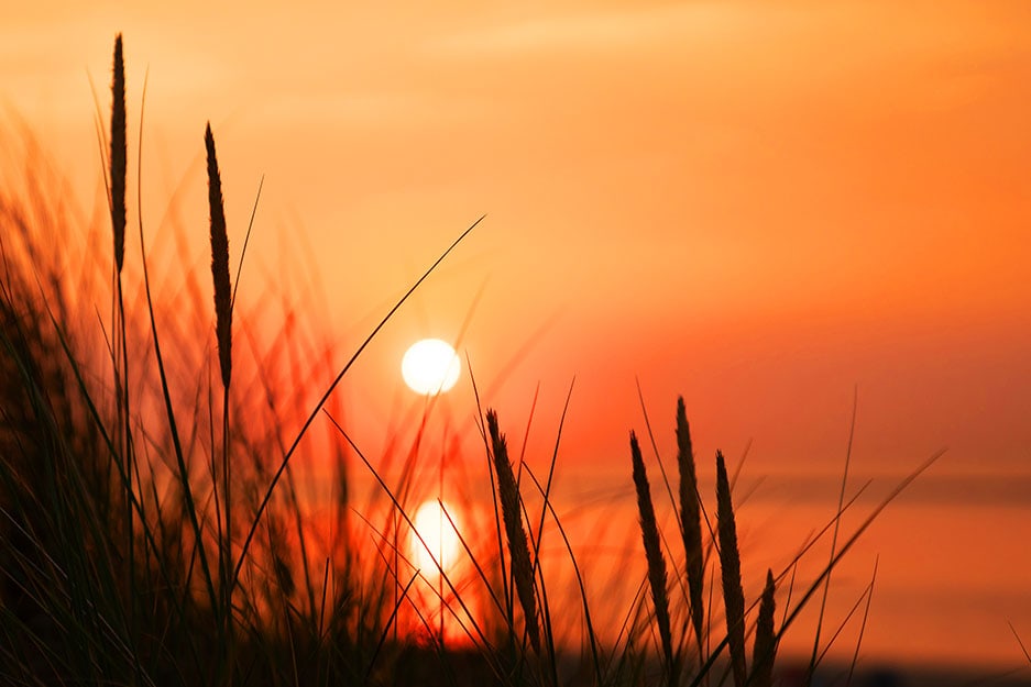 Sunset over the marsh grass on Tangier Island.