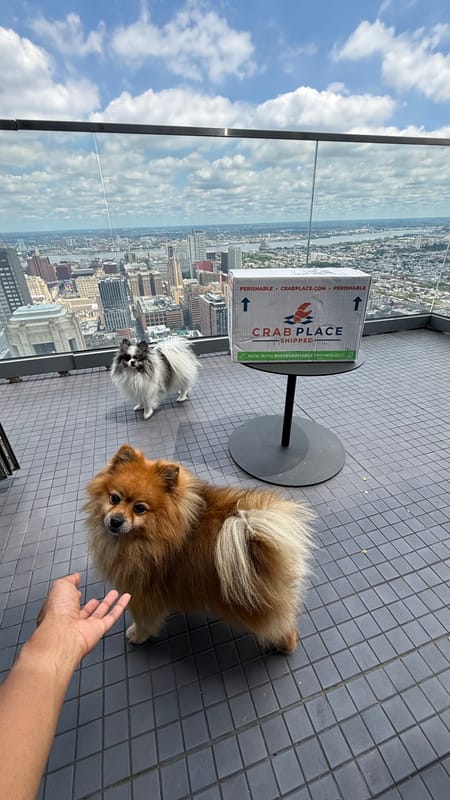Crab Place box on a rooftop with the Philadelphia skyline behind it