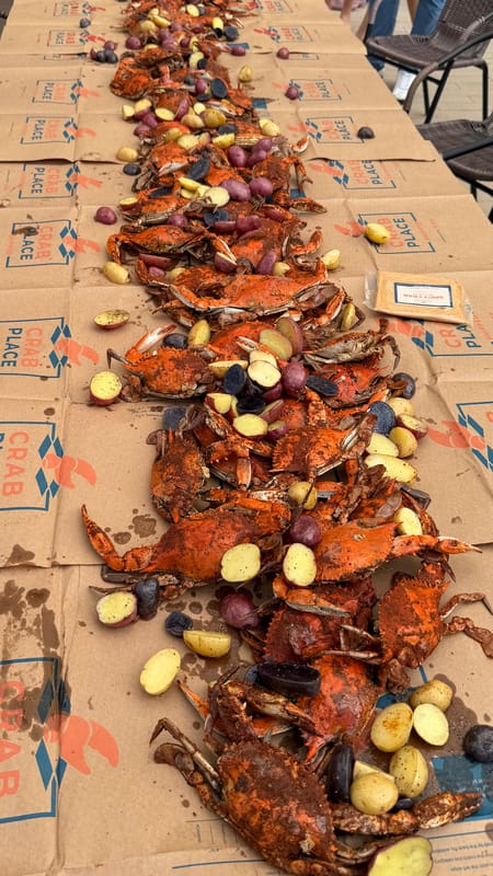 A long table laid end to end with crabs, corn and potatoes