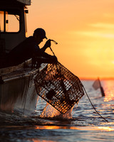 Exploring Our East Coast Partnerships For World-Class Seafood
