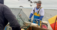 Moose Labo: The Crisfield Crabber I Grew Up With
