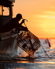 Exploring Our East Coast Partnerships For World-Class Seafood