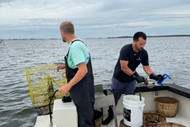Touched Four Times Before It Ships: Inside Our Hard Crab Division