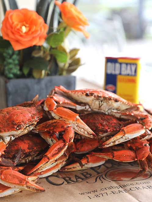 Great Maryland Crabs On Deck