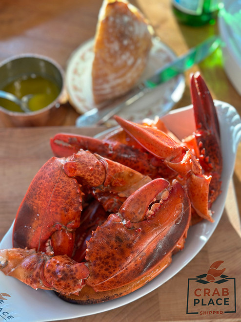 Maine Lobster Claws
