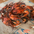 Pile of Steamed Maryland Blue Crabs