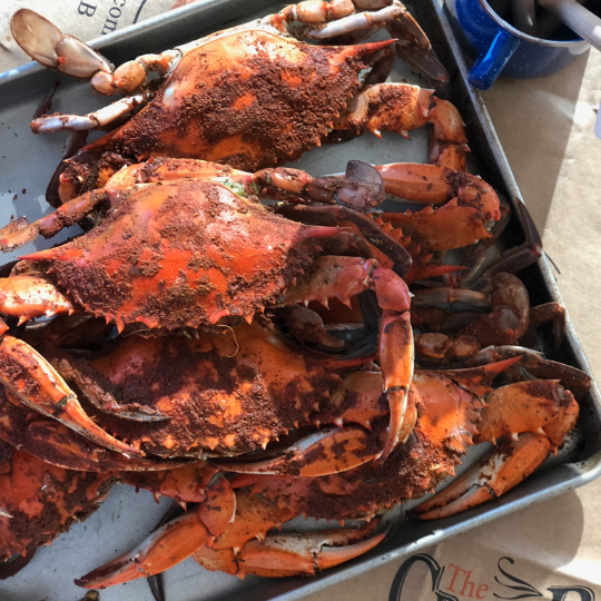 Select Males (5½"-6")