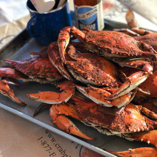 Standard Males (5"-5½")