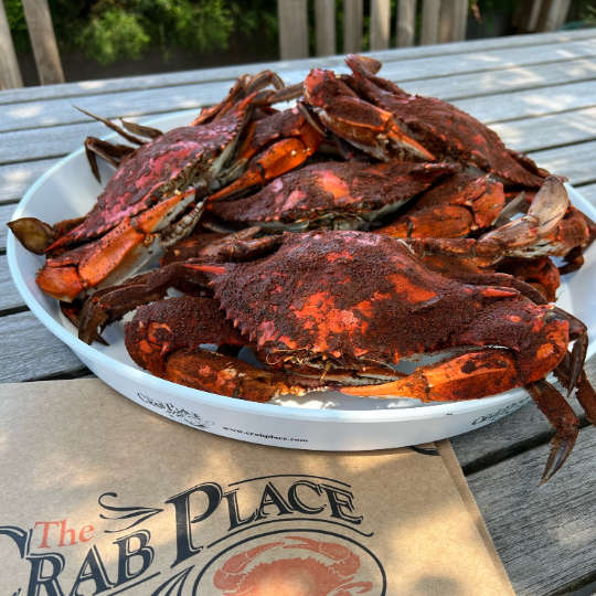 Regular Females (5"-6")