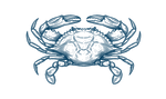 Regular (5" - 6")