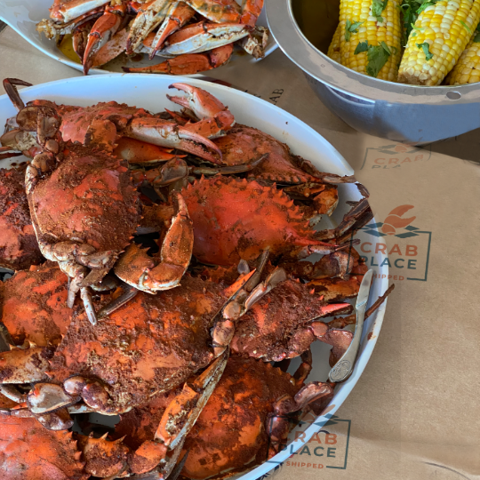 Colossal Males (6¾" and up)