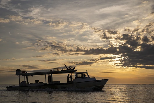 Satisfaction Guaranteed