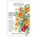 Alaska Variegated Nasturtium Seeds Heirloom