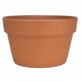 Terra Cotta Fern Azalea Pot - 12.5 inch