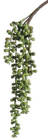 Faux Soft String of Pearls Spray Green - 13 inch