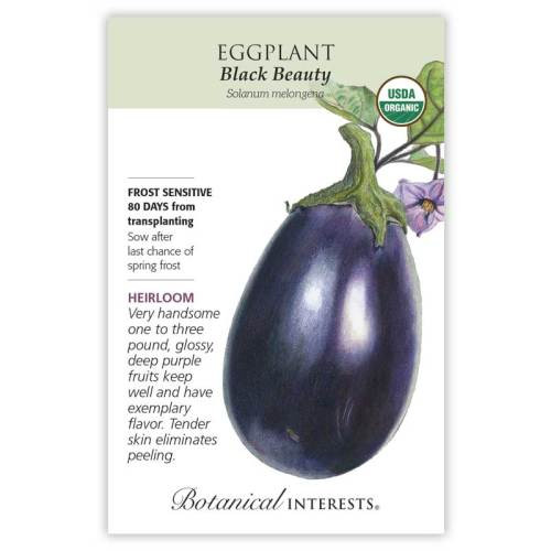 Black Beauty Eggplant Seeds Organic Heirloom