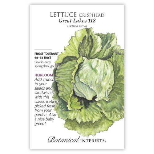 Great Lakes 118 Crisphead Lettuce Seeds Heirloom
