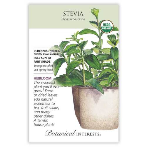 Stevia Seeds Organic Heirloom