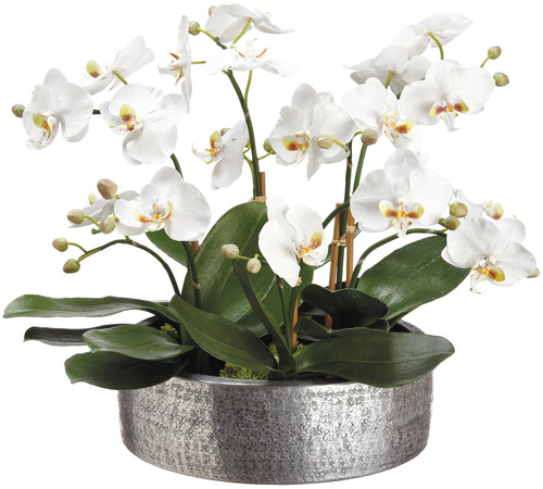 Faux Phalaenopsis in Aluminum Planter White - 16 inch