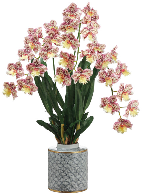 Faux Odontoglossom Orchid Plant in Ceramic Vase Boysenberry/Yellow - 34 inch