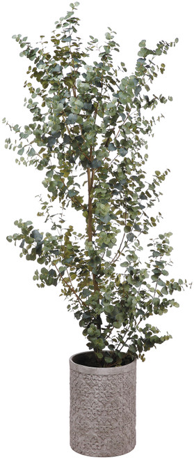 Faux Eucalyptus Tree in Cement Pot Green - 8 foot