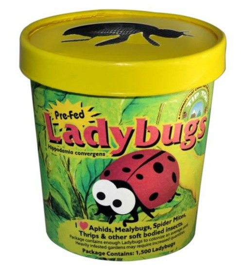 Tip Top Ladybugs In Cup - 750 count