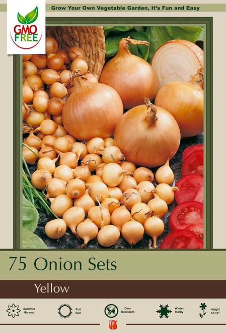 Onions Yellow - 75 pack