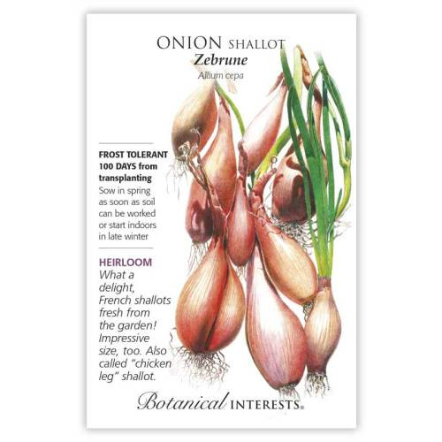 Zebrune Shallot Onion Seeds Heirloom