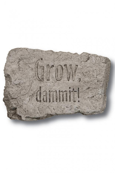 Stone Grow Dammit 10 inch