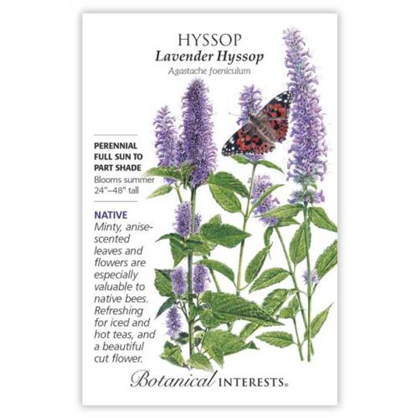Lavender Hyssop Seeds Native