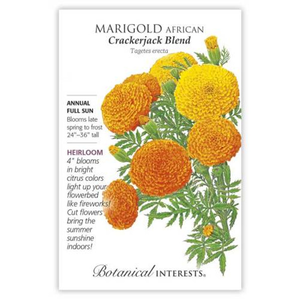 Crackerjack African Marigold Seeds Heirloom