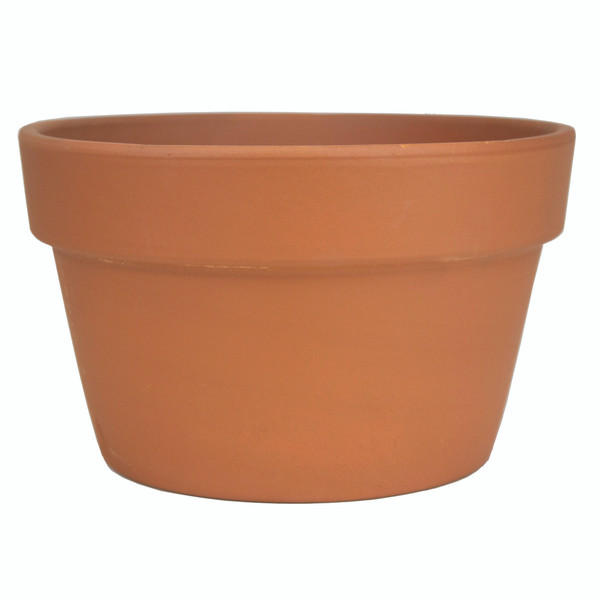 Terra Cotta Fern Azalea Pot - 8.5 inch