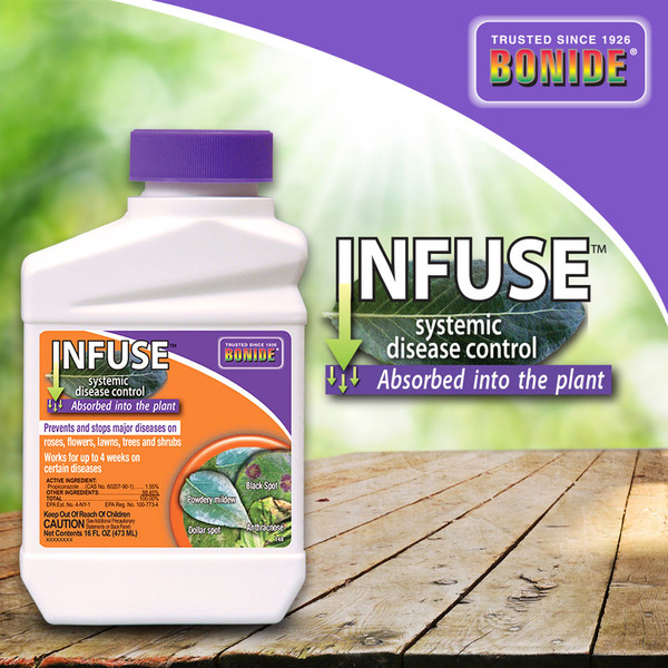 Infuse Systemic Disease Control Concentrate - 16 oz