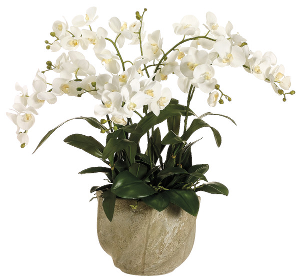 Faux Phalaenopsis Orchid in Star Pot White - 30 inch