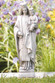 Our Lady Of Mount Carmel 19 inch
