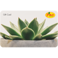 Digital Potted Succulent eGift Card