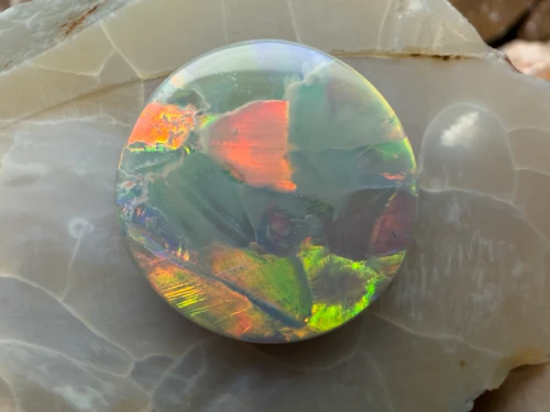 Mammal- Semi Black Opal