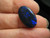 black opal