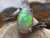 crystal opal ring